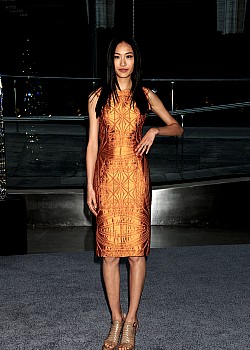 Shu Pei image 3 of 3