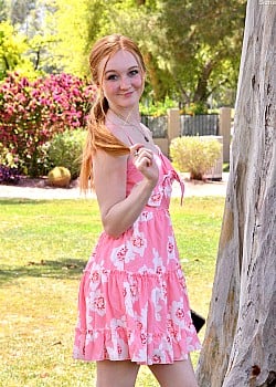 Sierra (FTV) image 3 of 4