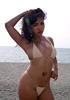 Siren Blaze profile photo