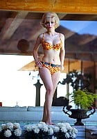 Stella Stevens profile photo