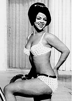 Tammi Terrell image 1 of 1