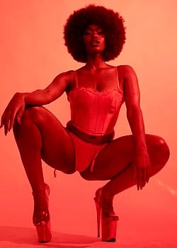 Tanerelle image 2 of 2