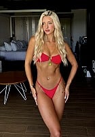Tayler Stevenson profile photo