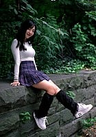 Teacher Tanuki profile photo