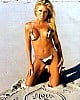 Terri Runnels image 4 of 4