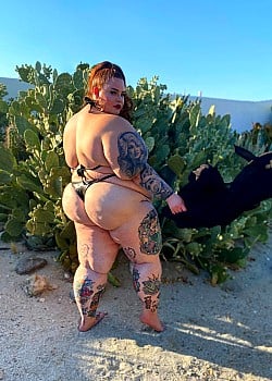 Tess Holliday image 3 of 4