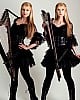 The Harp Twins image 2 of 4