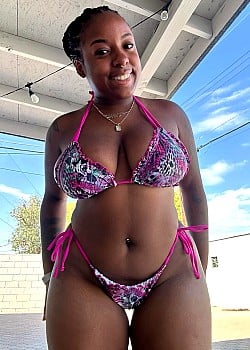 Thecookieswirl1 image 3 of 4