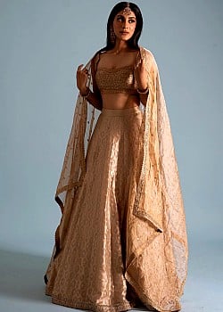 Vaibhavi Jagdish image 3 of 4