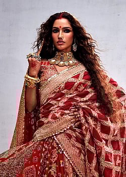 Vartika Singh image 2 of 3