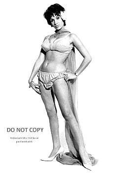 Yvonne Monlaur image 3 of 3