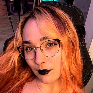 ASMR Kitten
