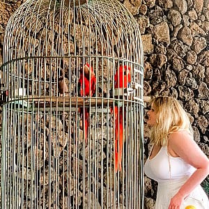 Adelina Manaut