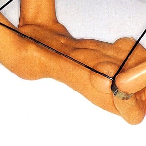 Aimee Mullins
