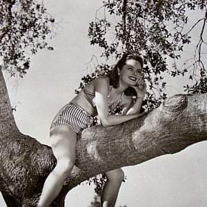 Alexis Smith (actress)