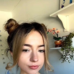 Aliciaxi