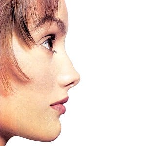Alison Moir