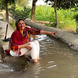 Aliza Sehar