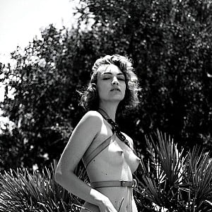 Ambre Renard