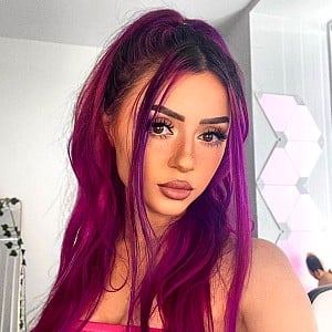 Angelmelly