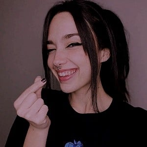 Arbmeis