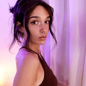 Arbmeis