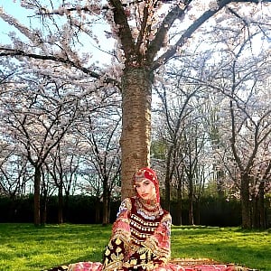 Ariana Elahi