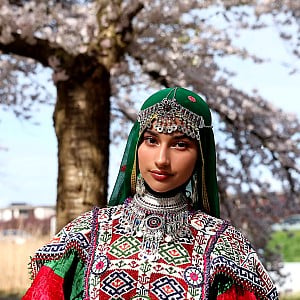Ariana Elahi