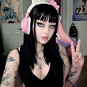 Arisa Vurr