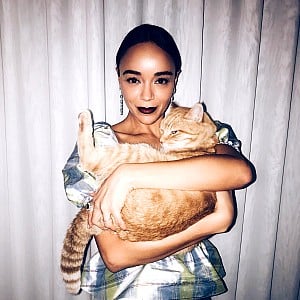 Ashley Madekwe