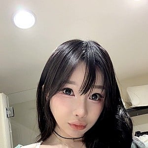 AsianBunnyx