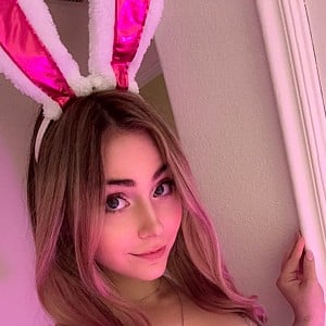 Ava Bebê