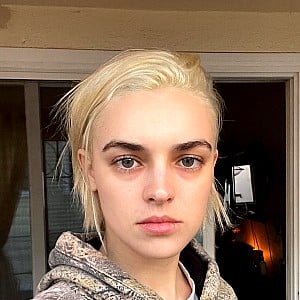 Ava Capri