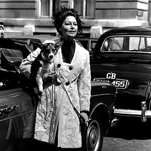 Ava Gardner