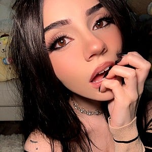 Aviva Sofia