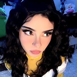 Aviva Sofia