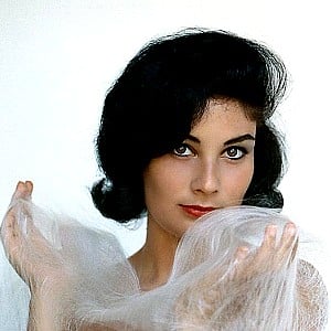 Barbara Ann Lawford