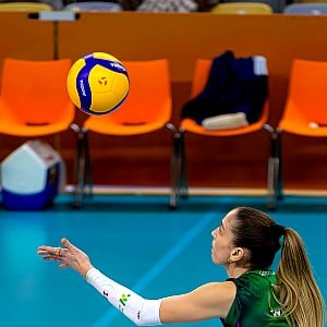 Barbara Dapic