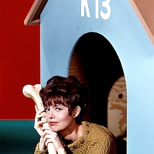Barbara Feldon