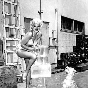 Barbara Nichols