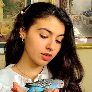 Bella ASMR
