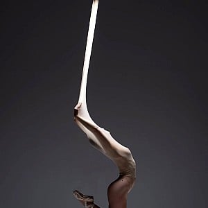 Bella Ballerina