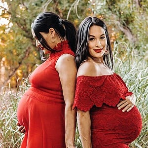 Bella Twins