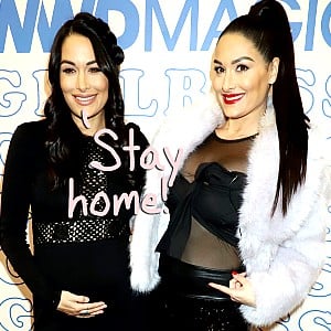 Bella Twins