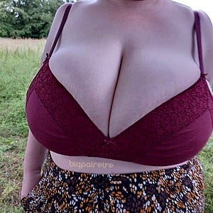 Bigpaireire