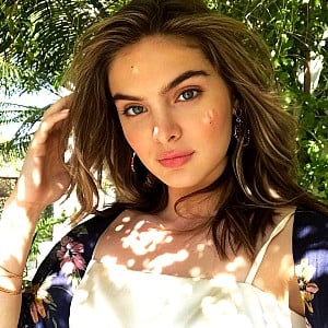 Brighton Sharbino