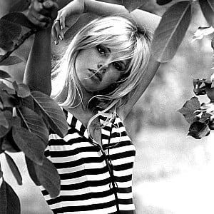 Britt Ekland