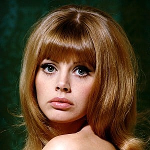 Britt Ekland