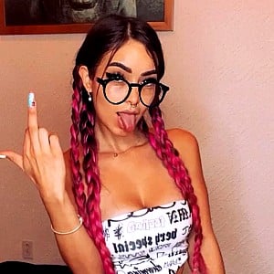 Caeli