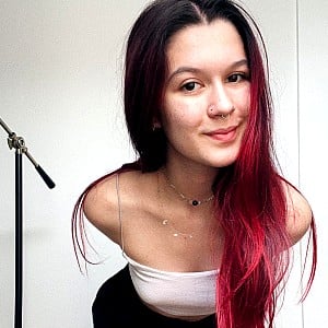 Cassidot